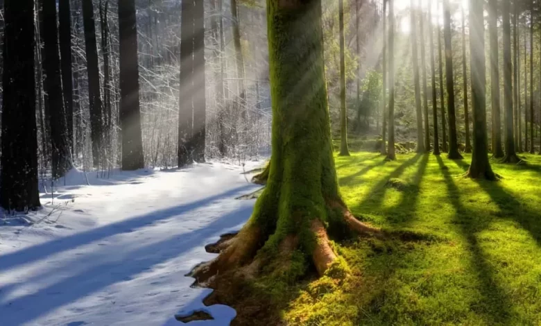 Shho Take Aklimatyzacziya 1024x576 1