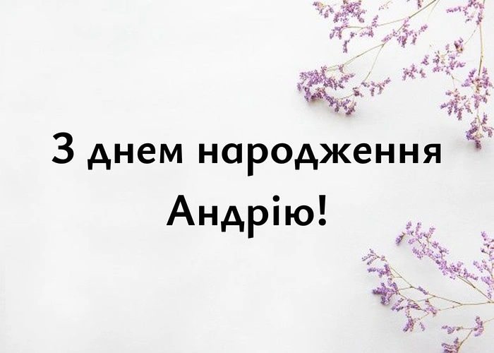 Z Dnem Narodzhennia Andriiu Cover