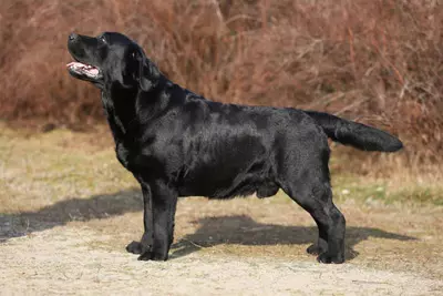 2582835f B82a 47ad B385 935037342eaa