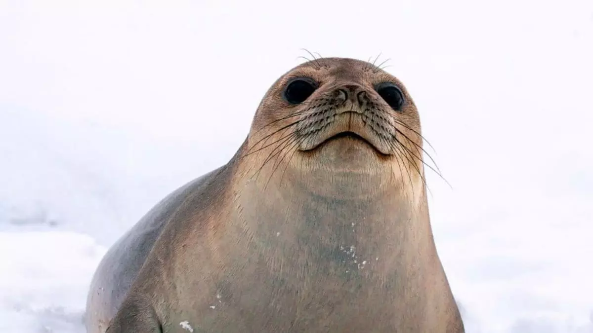 346835624 640815074748586 1581085115056687432 N 2c2f85e05ad00b4a37aa1c57ec51b025