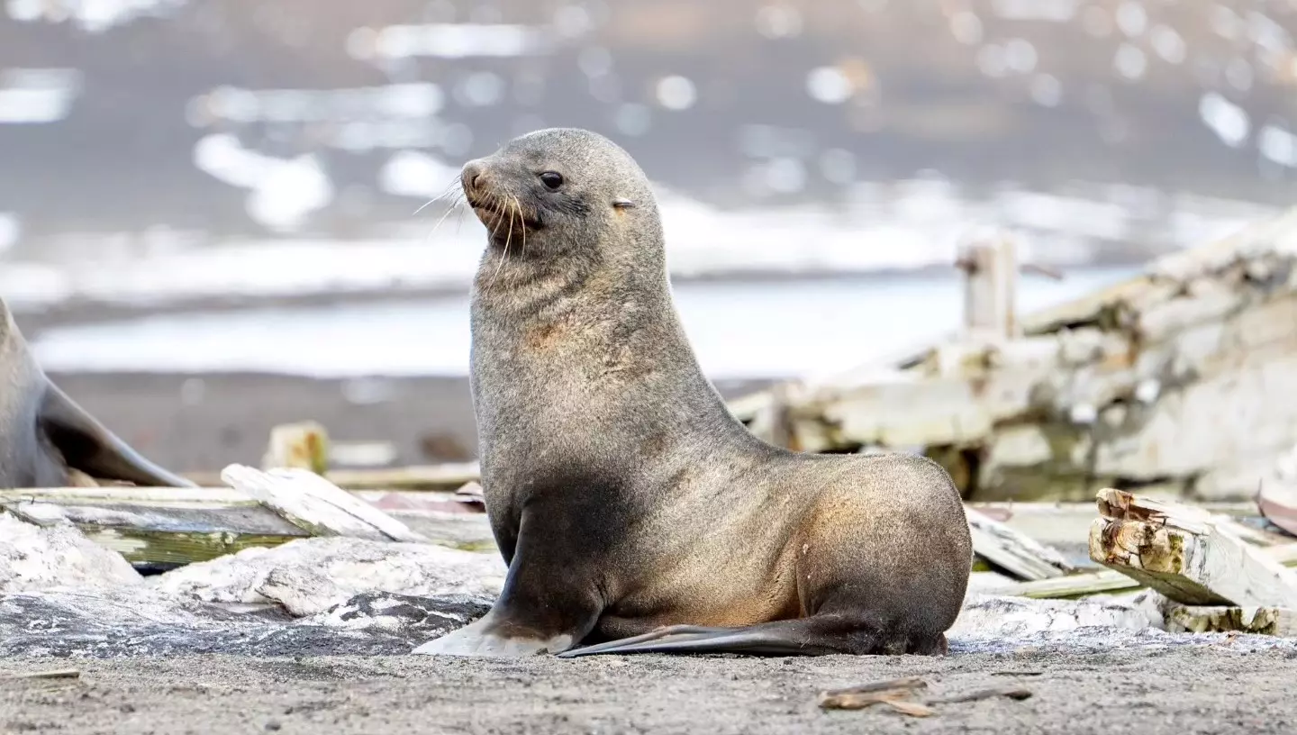 458320800 8245187498901475 5476079290979740677 N