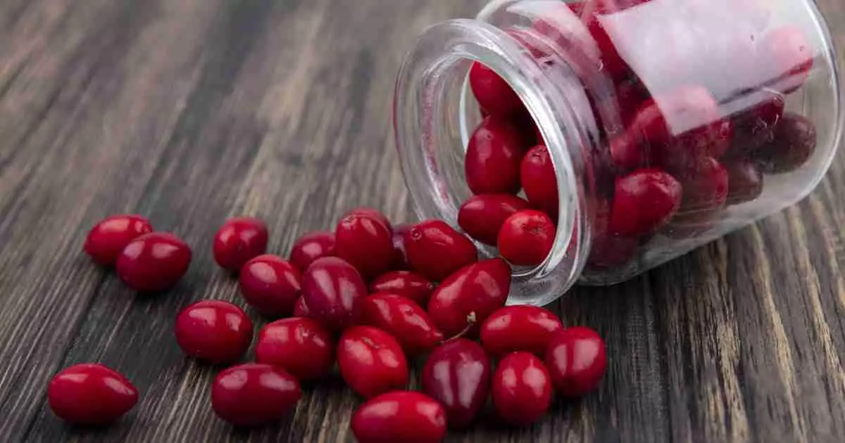 Netrimannya Kalu U Doroslih