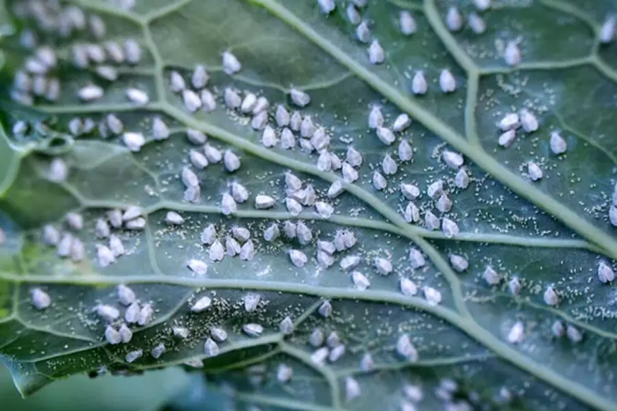 539779c044d42ad0536295bca1201a42