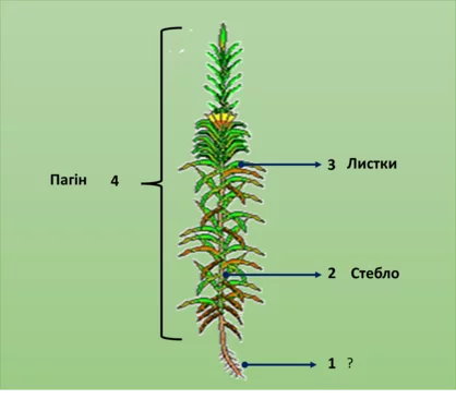 0300tcr9 39ba 418x366 1