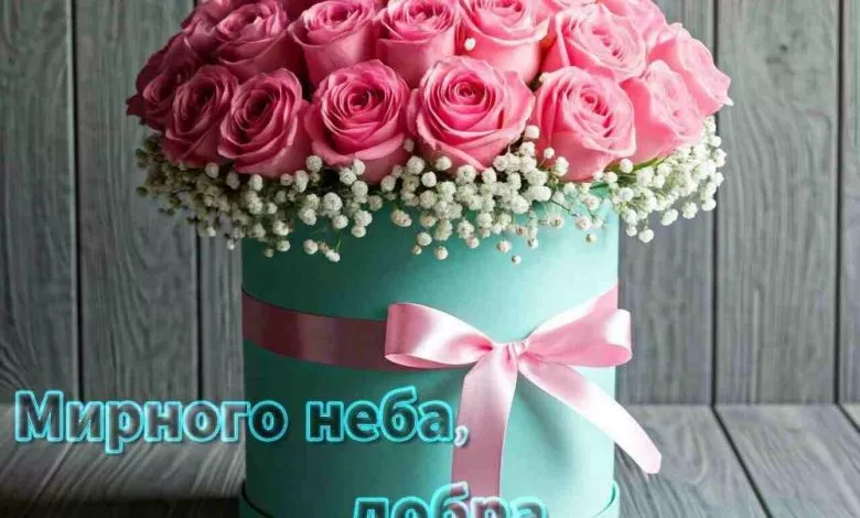 1000 Shtyba Dmitriy 8688a3404a6474c07626453249451354