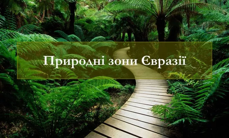 1442468c84fcbe95badc06918d892a9f