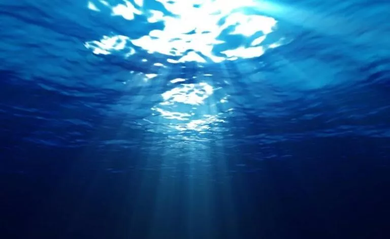 1521219650 768x516 1