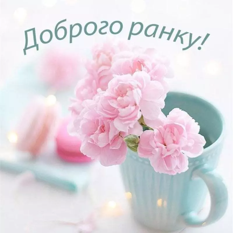 800 0 1667824650 9536