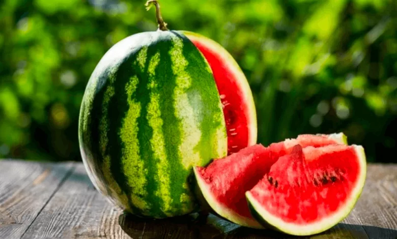 Plodi V Zhitti Lyudini