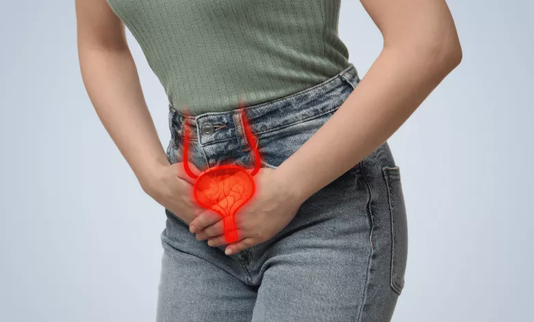 Hmil. Dlya Statej Sajta 1