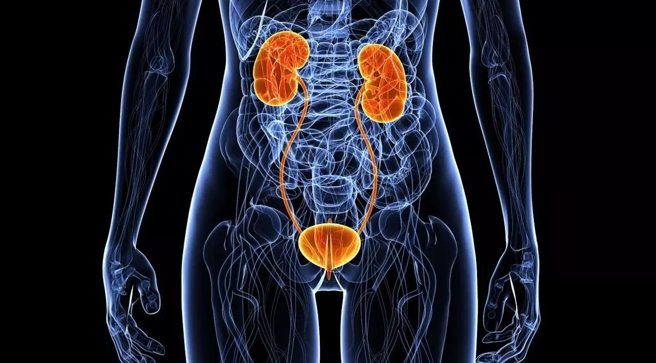 M4vgs6vnwrdyiwi23ug0uub32uhxnm0mum6fgidf 1280