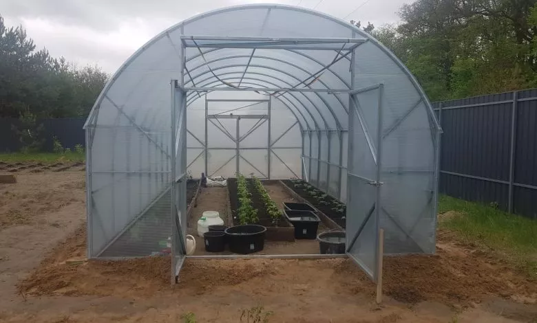 Photo 20241026 172804