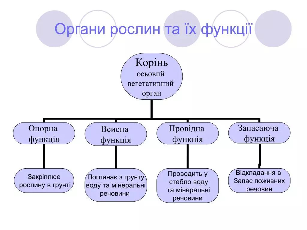 Slide3 L
