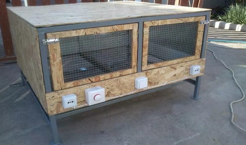 Yak Zrobyty Bruder Dlya Vyroshhuvannya I Utrymannya Kurchat 444